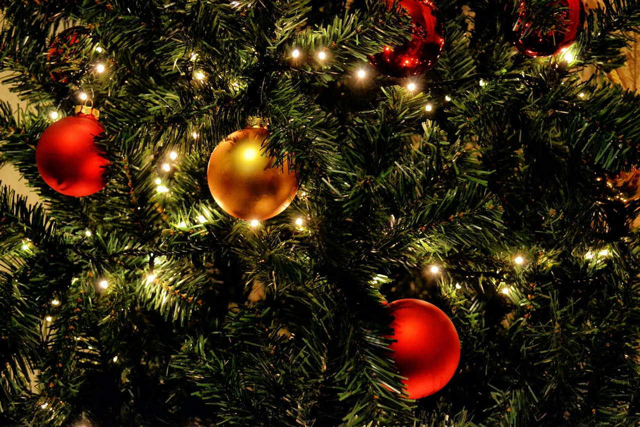 close up of a christmas tree with lights and red and gold ornaments